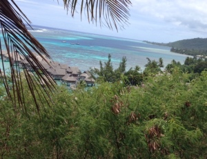 Reef around island