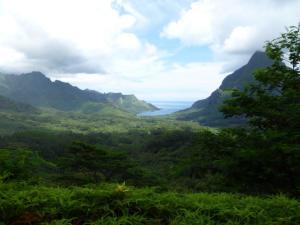 View from center of island