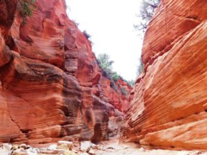 Photo Side Slot Canyon Utah Deb E