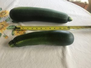 veg 1 zucchini